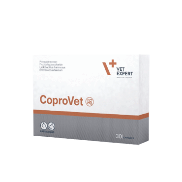 VetExpert Coprovet Συμπλήρωμα Διατροφής Κατά της Κοπροφαγίας 30 Κάψουλες VetExpert Coprovet Συμπλήρωμα Διατροφής Κατά της Κοπροφαγίας 30 Κάψουλες